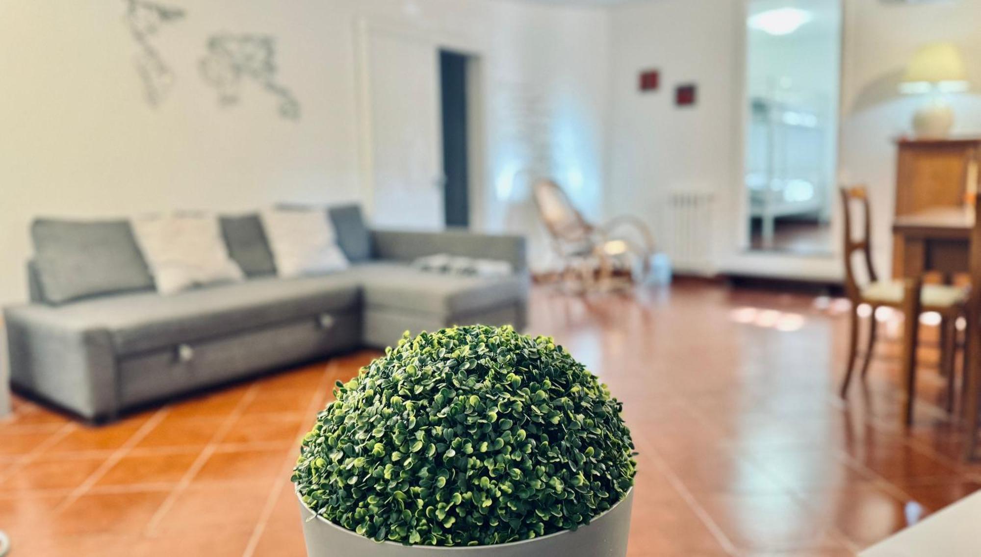 Seiundici Mondello Home 외부 사진